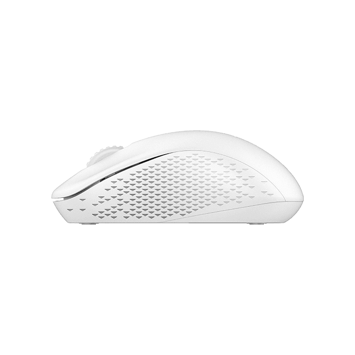 RAPOO M20 Wireless Mouse